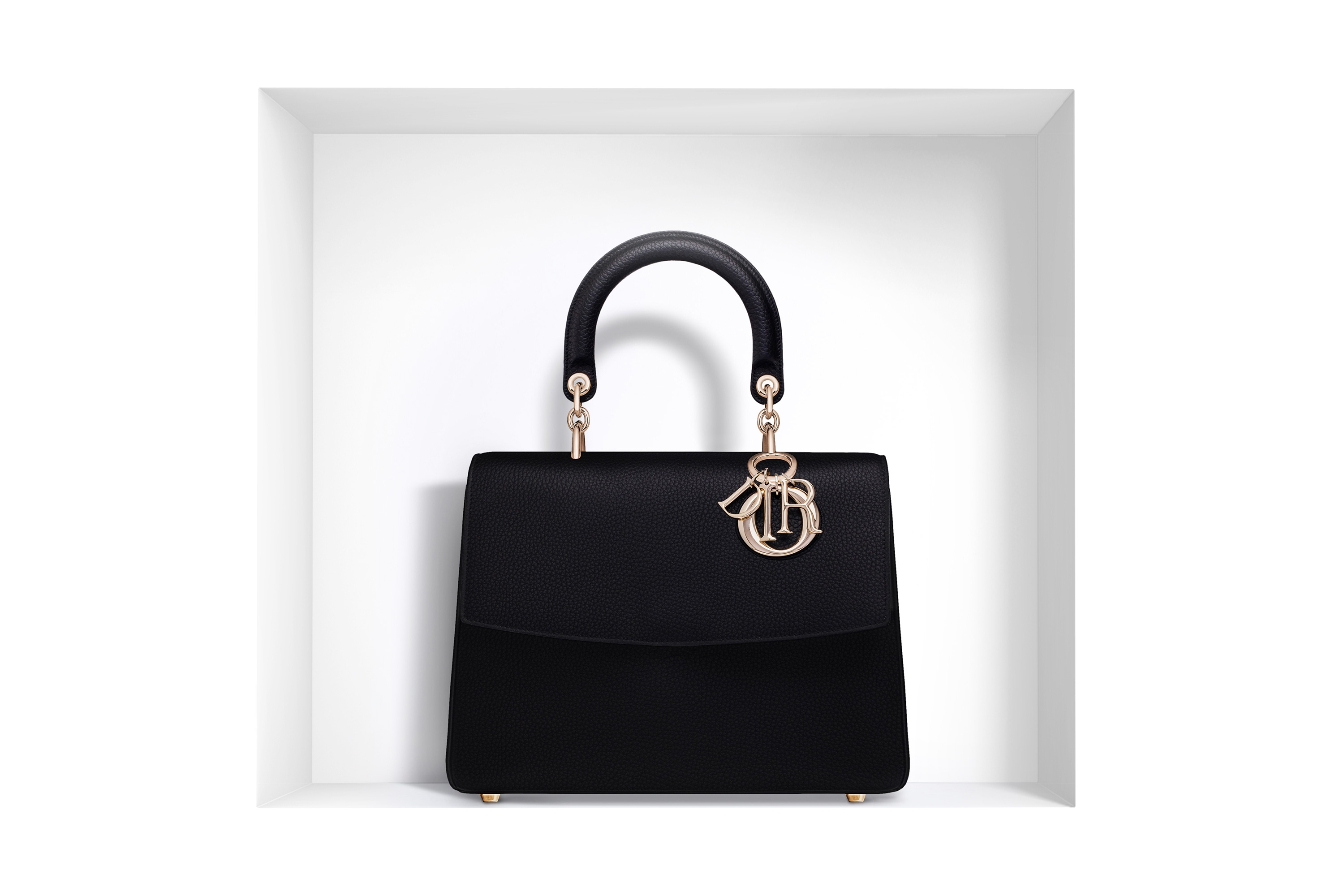 Christian Dior Beige Leather Diorissimo Large